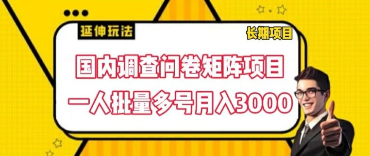 国内调查问卷矩阵项目，一人批量多号月入3000【揭秘】-万三聊项目
