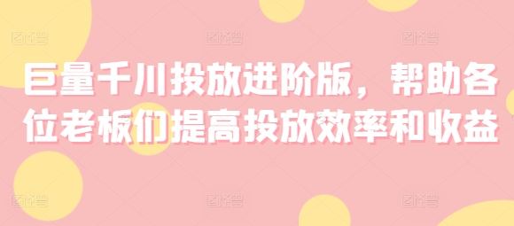 巨量千川投放进阶版，帮助各位老板们提高投放效率和收益-万三聊项目