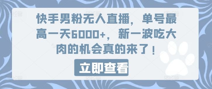 快手男粉无人直播，单号最高一天6000+，新一波吃大肉的机会真的来了-万三聊项目