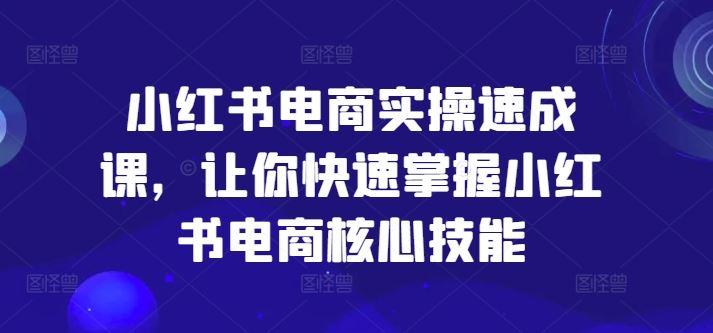小红书电商实操速成课，让你快速掌握小红书电商核心技能-万三聊项目