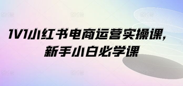 1V1小红书电商运营实操课，新手小白必学课-万三聊项目