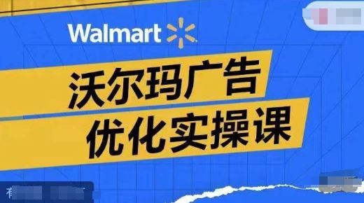 沃尔玛广告优化实操课，广告报告实操讲解，广告如何提高转化和ROAS等-万三聊项目