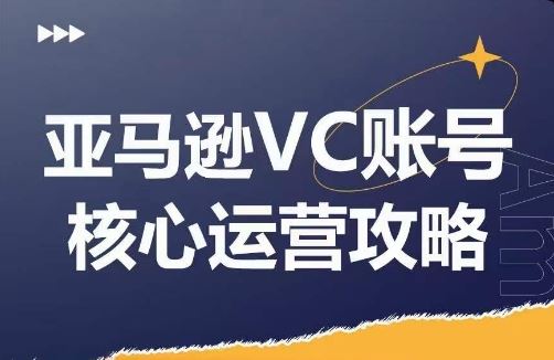 亚马逊VC账号核心玩法解析，实战经验拆解产品模块运营技巧，提升店铺GMV，有效提升运营利润-万三聊项目