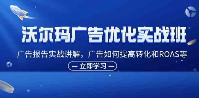 沃尔玛广告优化实战班，广告报告实战讲解，广告如何提高转化和ROAS等-万三聊项目
