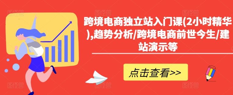 跨境电商独立站入门课(2小时精华),趋势分析/跨境电商前世今生/建站演示等-万三聊项目