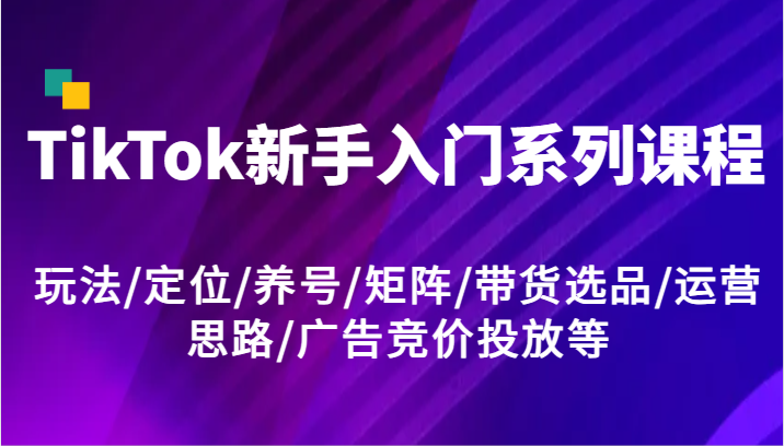 TikTok新手入门系列课程，玩法/定位/养号/矩阵/带货选品/运营思路/广告竞价投放等-万三聊项目