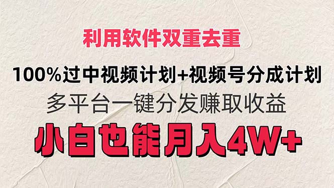 （11862期）利用软件双重去重，100%过中视频+视频号分成计划小白也可以月入4W+-万三聊项目