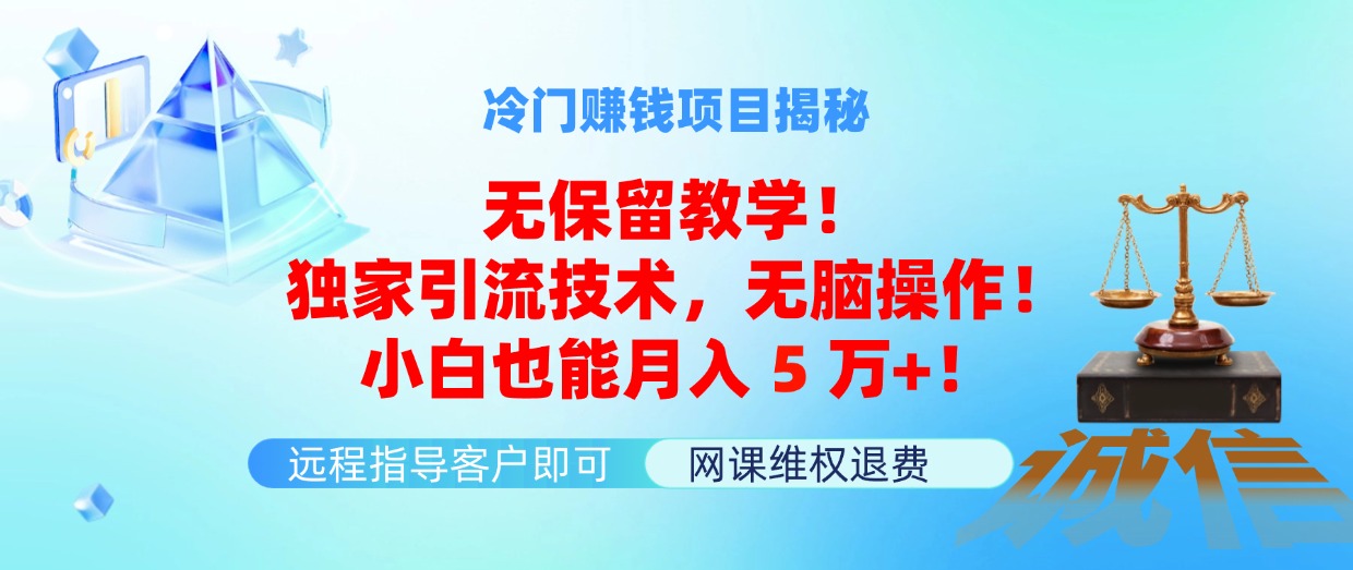 （11864期）冷门赚钱项目无保留教学！独家引流技术，无脑操作！小白也能月入5万+！-万三聊项目