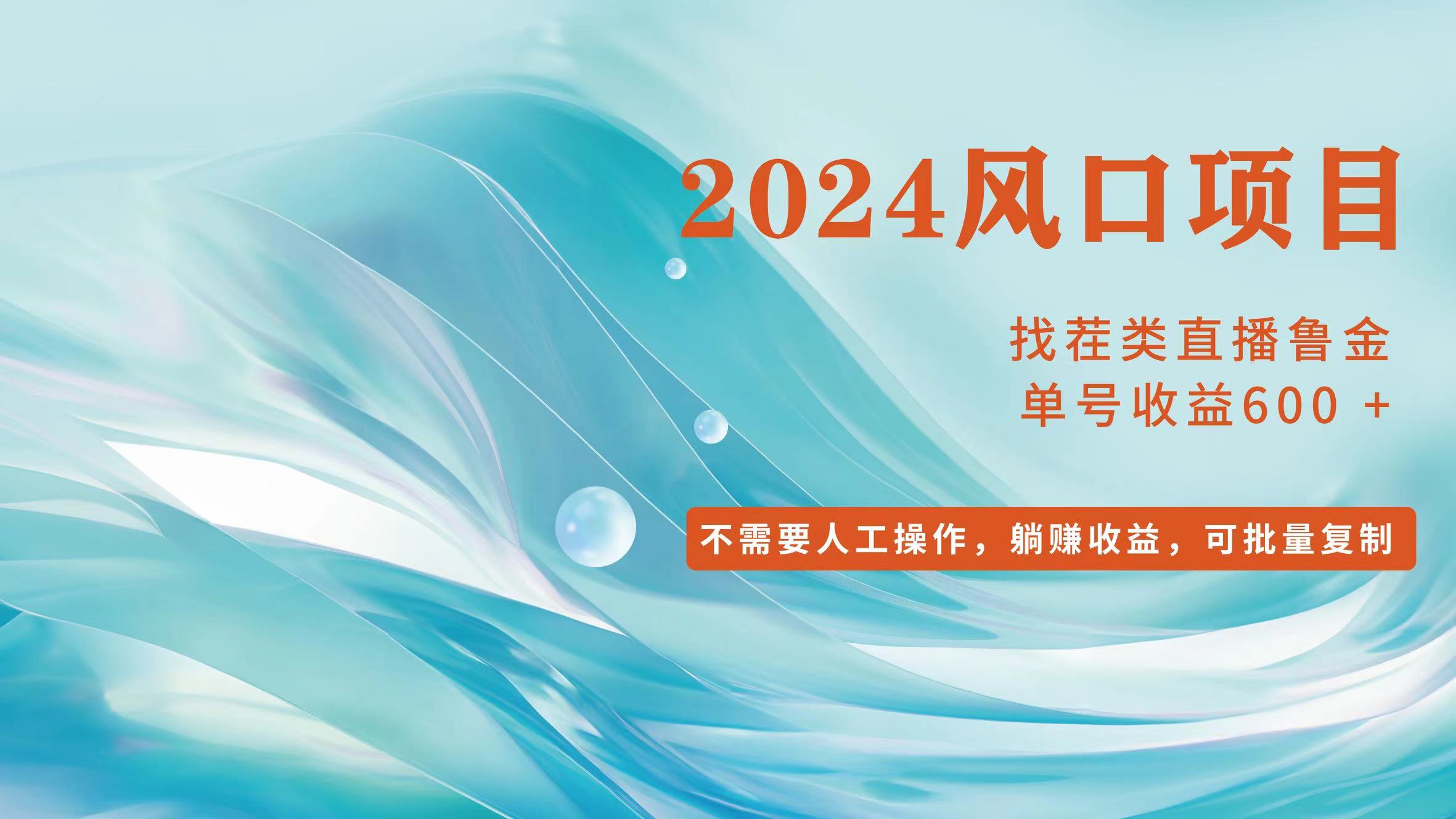 （11868期）小白轻松入手，当天收益600➕，可批量可复制-万三聊项目