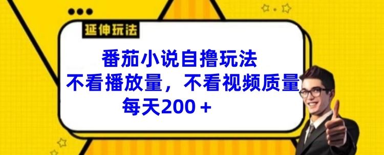 番茄小说自撸玩法，不看播放量，不看视频质量，每天200+【揭秘】-万三聊项目
