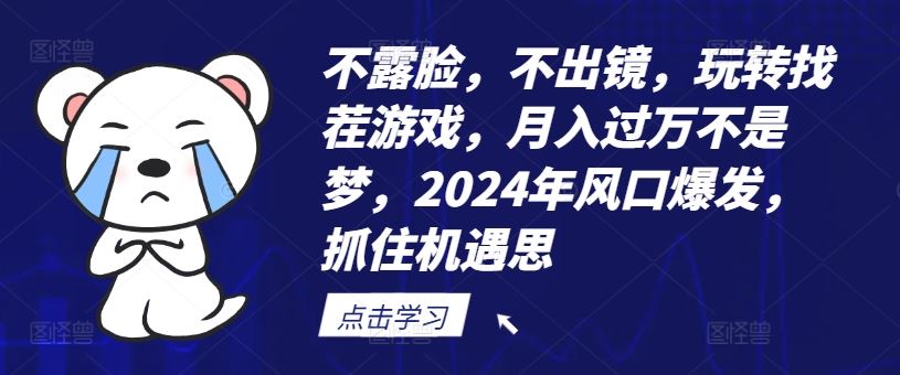 不露脸，不出镜，玩转找茬游戏，月入过万不是梦，2024年风口爆发，抓住机遇【揭秘】-万三聊项目