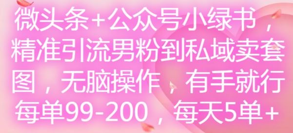 微头条+公众号小绿书，精准引流男粉到私域卖套图，无脑操作，有手就行，每单99-200，每天5单-万三聊项目
