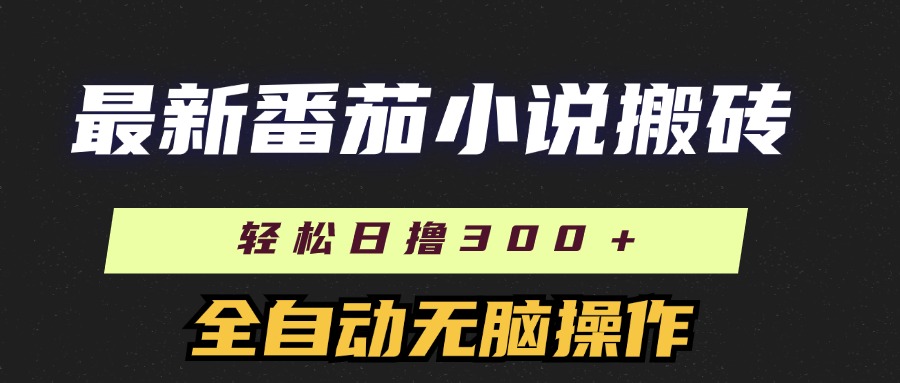 （11904期）最新番茄小说搬砖，日撸300＋！全自动操作，可矩阵放大-万三聊项目