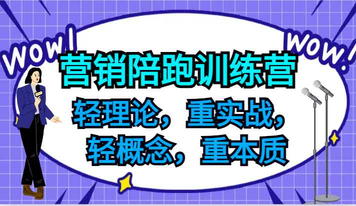 营销陪跑训练营，轻理论，重实战，轻概念，重本质，适合中小企业和初创企业的老板-万三聊项目