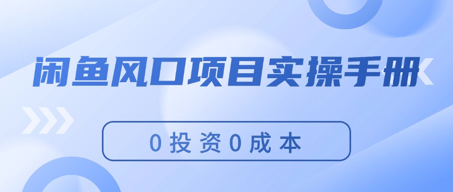 （11923期）闲鱼风口项目实操手册，0投资0成本，让你做到，月入过万，新手可做-万三聊项目