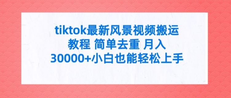 tiktok最新风景视频搬运教程 简单去重 月入3W+小白也能轻松上手【揭秘】-万三聊项目