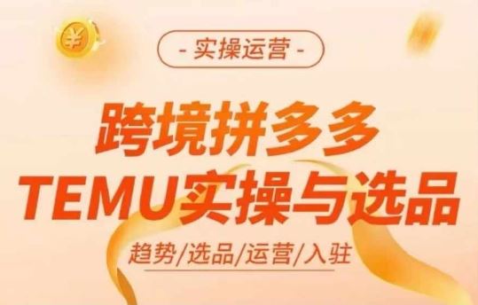 跨境拼多多TEMU实操与选品，多多temu跨境选品运营实操-万三聊项目