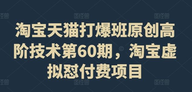 淘宝天猫打爆班原创高阶技术第60期，淘宝虚拟怼付费项目-万三聊项目