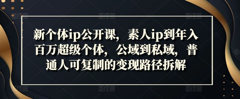 新个体ip公开课，素人ip到年入百万超级个体，公域到私域，普通人可复制的变现路径拆解-万三聊项目