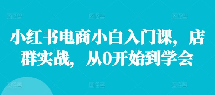 小红书电商小白入门课，店群实战，从0开始到学会-万三聊项目