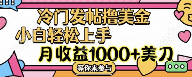 冷门发帖撸美金项目，月收益1000+美金，简单无脑，干就完了【揭秘】-万三聊项目