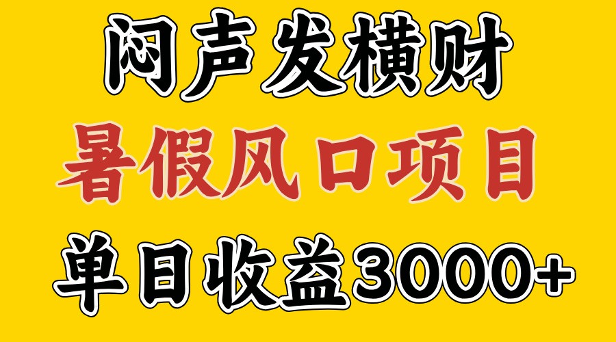 30天赚了7.5W 暑假风口项目，比较好学，2天左右上手-万三聊项目