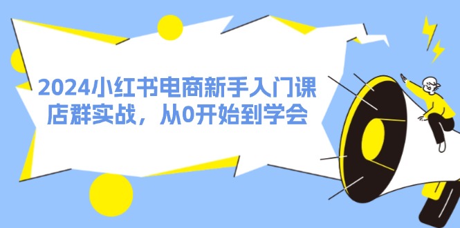 2024小红书电商新手入门课，店群实战，从0开始到学会（31节）-万三聊项目