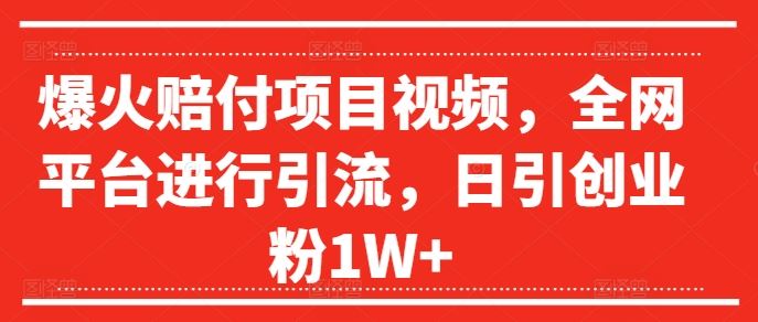 爆火赔付项目视频，全网平台进行引流，日引创业粉1W+【揭秘】-万三聊项目