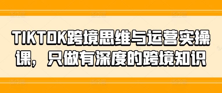 TIKTOK跨境思维与运营实操课，只做有深度的跨境知识-万三聊项目