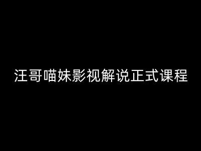 汪哥影视解说正式课程：剪映/PR教学/视解说剪辑5大黄金法则/全流程剪辑7把利器等等-万三聊项目