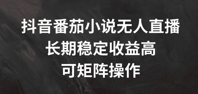 抖音番茄小说无人直播，长期稳定收益高，可矩阵操作【揭秘】-万三聊项目