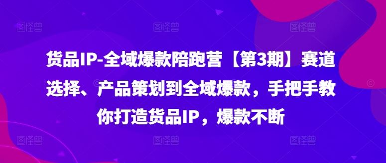 货品IP全域爆款陪跑营【第3期】赛道选择、产品策划到全域爆款，手把手教你打造货品IP，爆款不断-万三聊项目