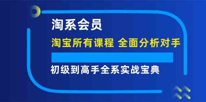淘系会员初级到高手全系实战宝典【淘宝所有课程，全面分析对手】-万三聊项目