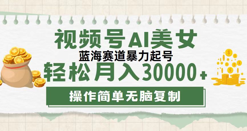 （12087期）视频号AI美女跳舞，轻松月入30000+，蓝海赛道，流量池巨大，起号猛，无…-万三聊项目