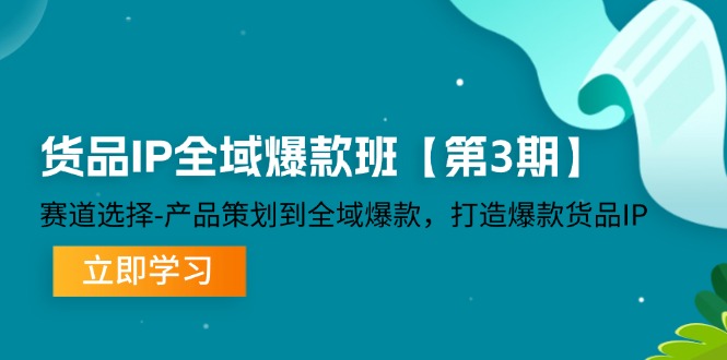货品IP全域爆款班【第3期】赛道选择、产品策划到全域爆款，打造爆款货品IP-万三聊项目
