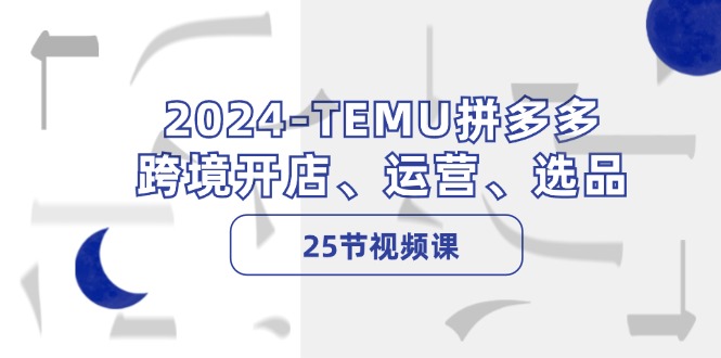 （12106期）2024-TEMU拼多多·跨境开店、运营、选品（25节视频课）-万三聊项目