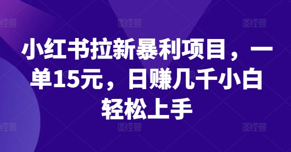 小红书拉新暴利项目，一单15元，日赚几千小白轻松上手-万三聊项目