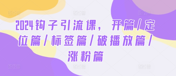 2024钩子引流课，开篇/定位篇/标签篇/破播放篇/涨粉篇-万三聊项目