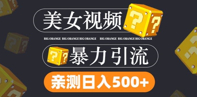 搬运tk美女视频全网分发，日引s粉300+，轻松变现，不限流量不封号-万三聊项目