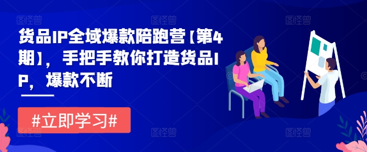 货品IP全域爆款陪跑营【第4期】，手把手教你打造货品IP，爆款不断-万三聊项目