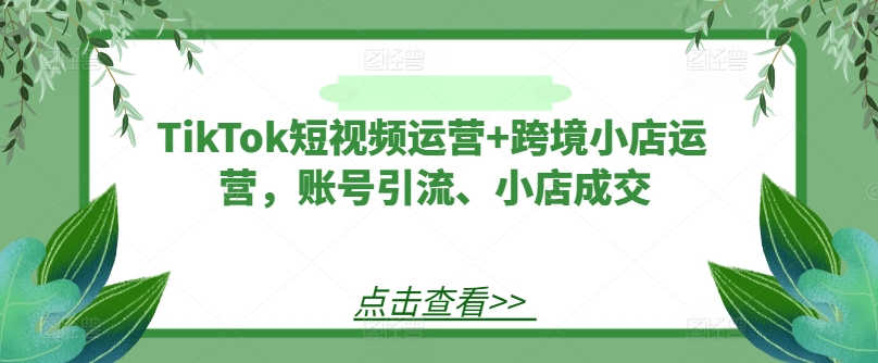 TikTok短视频运营+跨境小店运营，账号引流、小店成交-万三聊项目