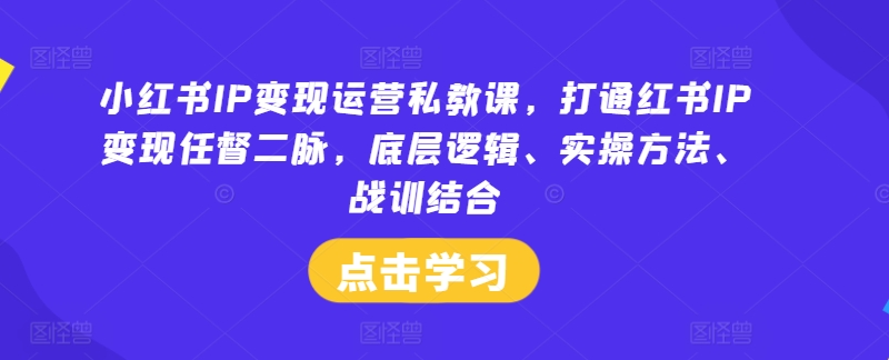 小红书IP变现运营私教课，打通红书IP变现任督二脉，底层逻辑、实操方法、战训结合-万三聊项目