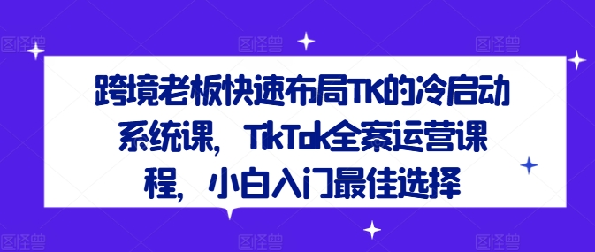 跨境老板快速布局TK的冷启动系统课，TikTok全案运营课程，小白入门最佳选择-万三聊项目