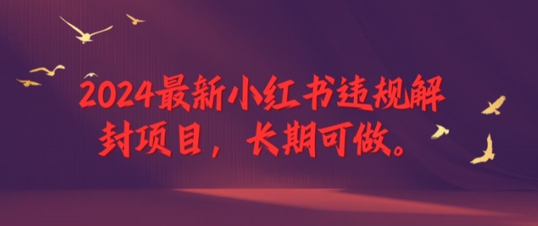 2024最新小红书违规解封项目，长期可做，一个可以做到退休的项目-万三聊项目