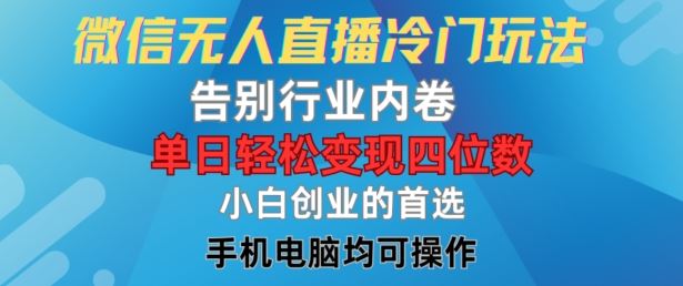 微信无人直播冷门玩法，告别行业内卷，单日轻松变现四位数，小白的创业首选【揭秘】-万三聊项目