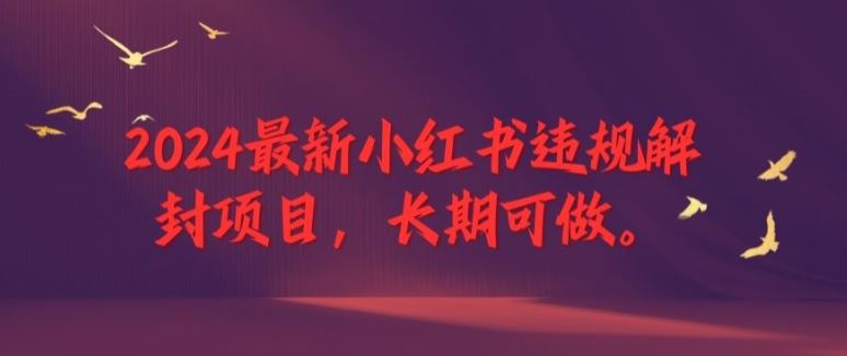 2024最新小红书违规解封项目，长期可做，一个可以做到退休的项目【揭秘】-万三聊项目