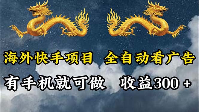 （12175期）海外快手项目，利用工具全自动看广告，每天轻松 300+-万三聊项目
