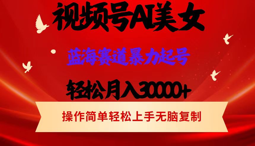 （12178期）视频号AI美女跳舞，轻松月入30000+，蓝海赛道，流量池巨大，起号猛，当…-万三聊项目