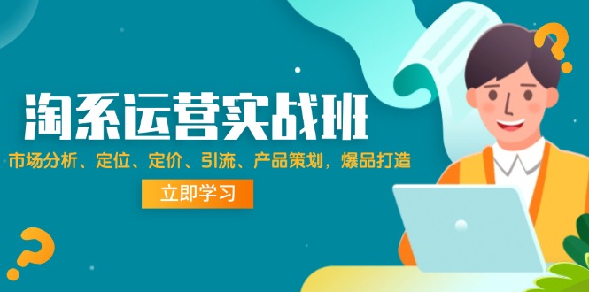 （12186期）淘系运营实战班：市场分析、定位、定价、引流、产品策划，爆品打造-万三聊项目