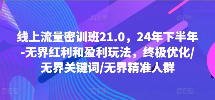 线上流量密训班21.0，24年下半年-无界红利和盈利玩法，终极优化/无界关键词/无界精准人群-万三聊项目